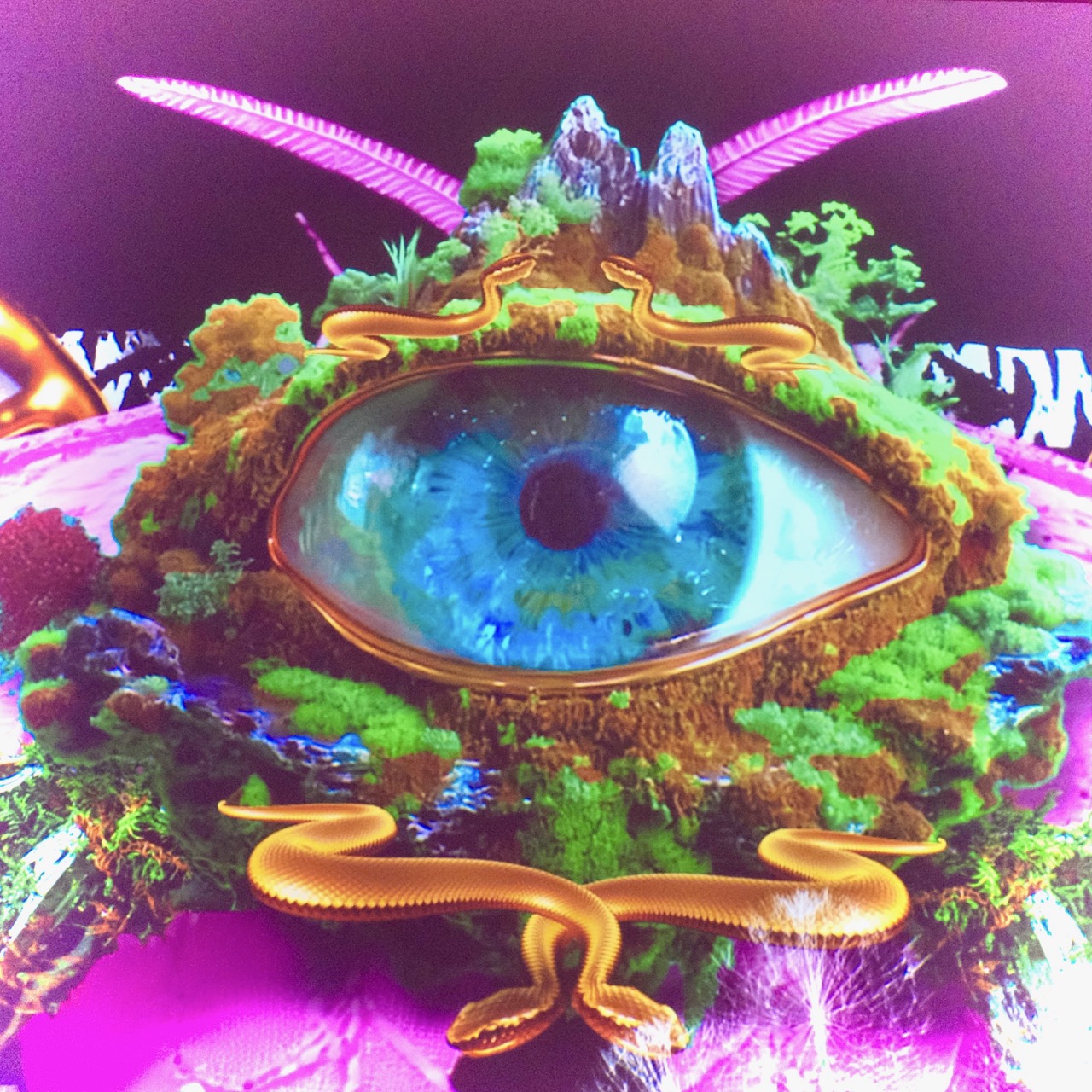 An Odd Reality